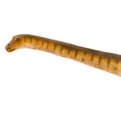 Safari Ltd Patagotitan