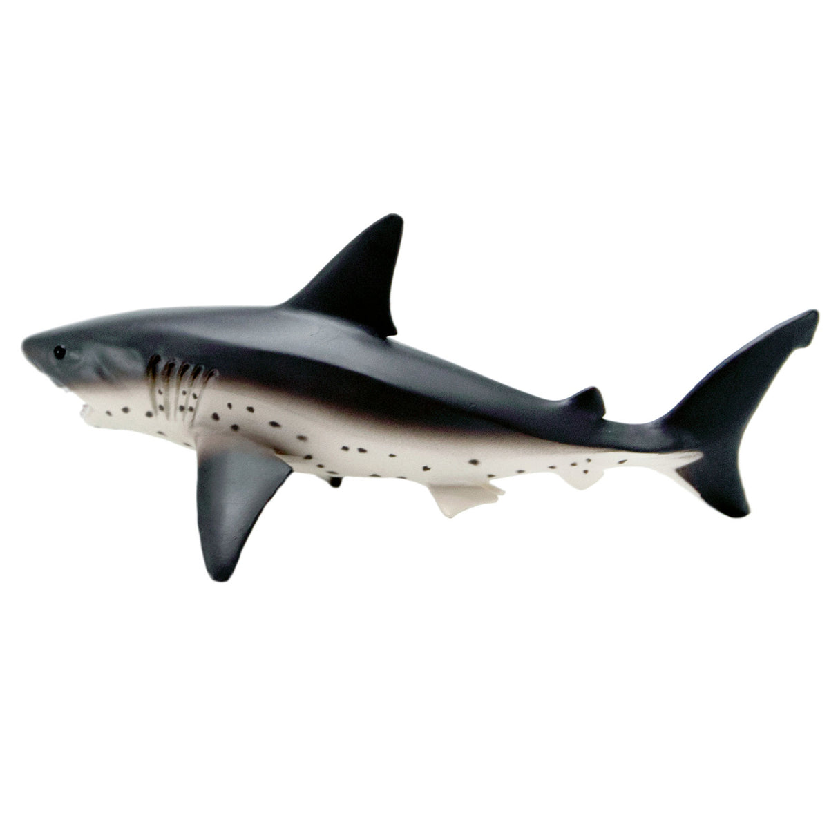 Safari Ltd Salmon Shark