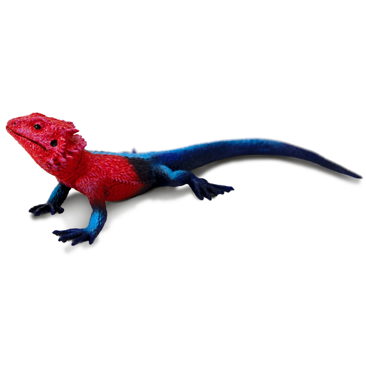 Safari Ltd Mwanza Flat-Headed Rock Agama XL