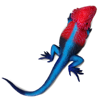 Safari Ltd Mwanza Flat-Headed Rock Agama XL