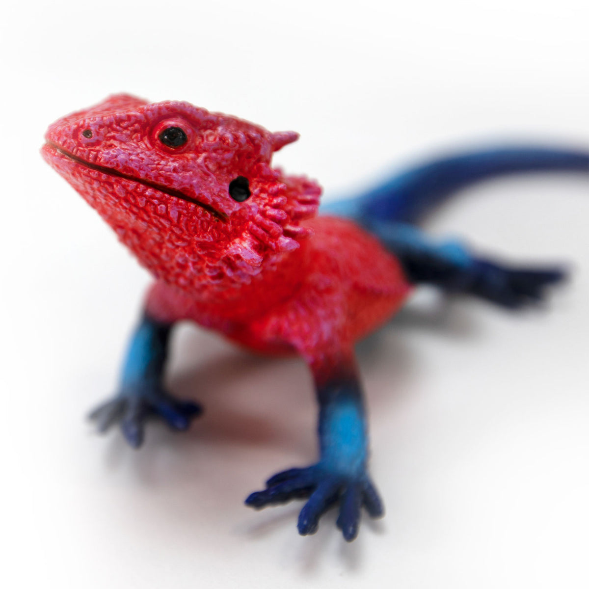 Safari Ltd Mwanza Flat-Headed Rock Agama XL