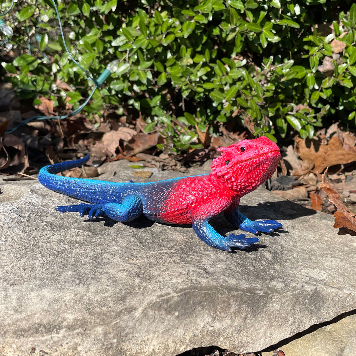 Safari Ltd Mwanza Flat-Headed Rock Agama XL