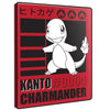 Pokemon Ultra Pro Portfolio 9 Pocket Charmander