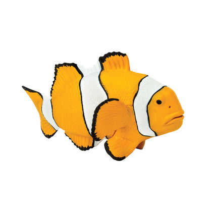 Safari Ltd Clown Anemonefish XL