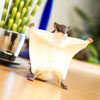 Safari Ltd Flying Squirrel XL