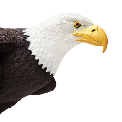 Safari Ltd Bald Eagle XL