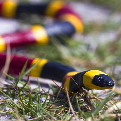 Safari Ltd Coral Snake XL