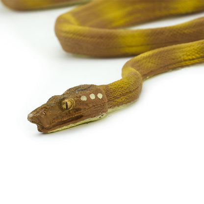Safari Ltd Amazon Tree Boa XL