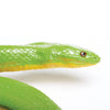 Safari Ltd Rough Green Snake XL