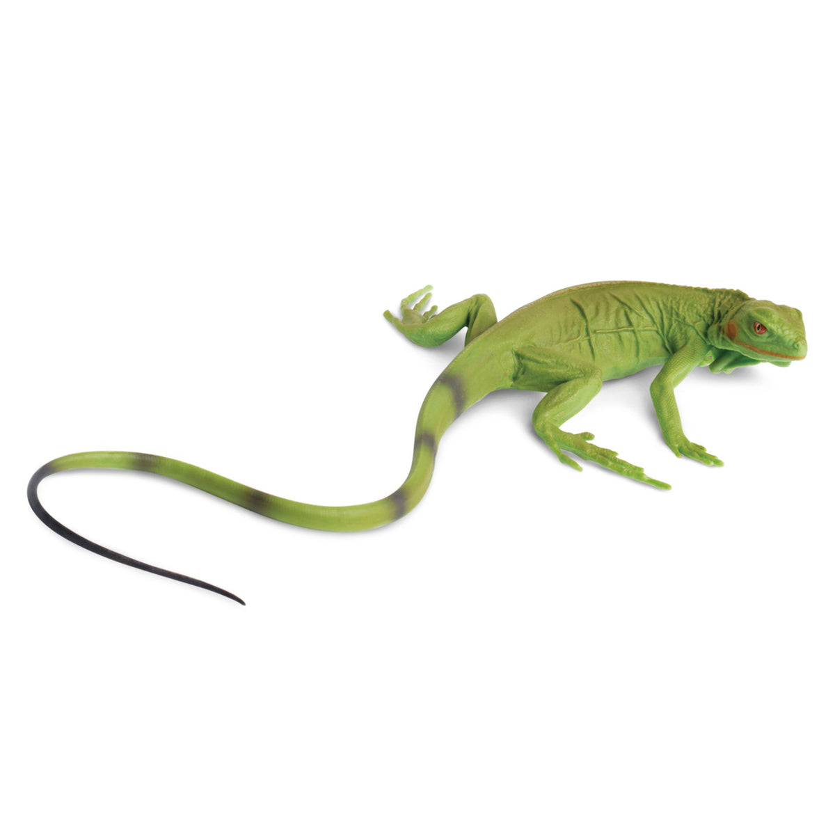 Safari Ltd Iguana Baby XL