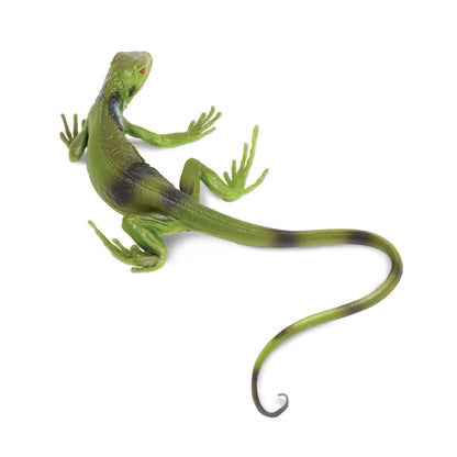 Safari Ltd Iguana Baby XL