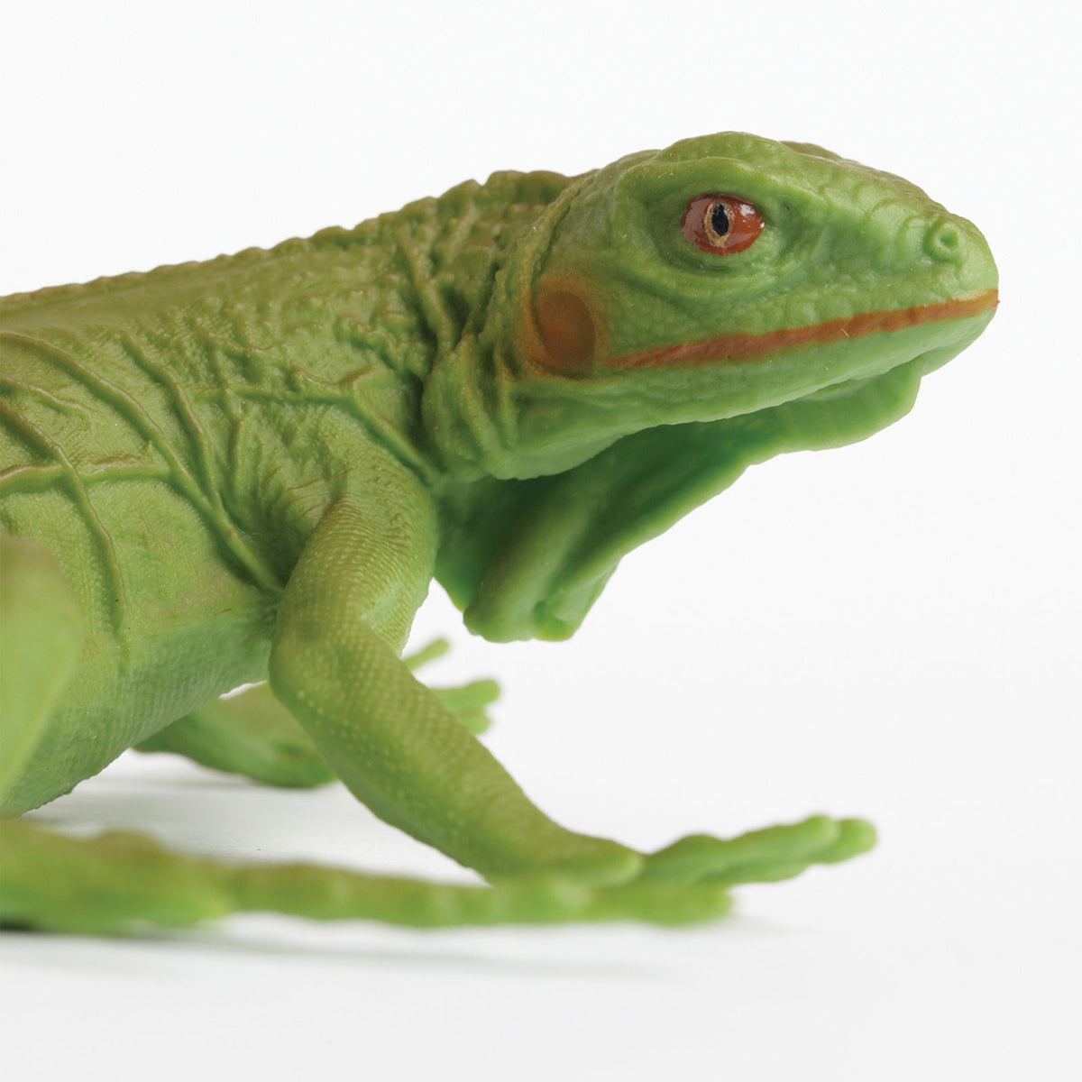 Safari Ltd Iguana Baby XL