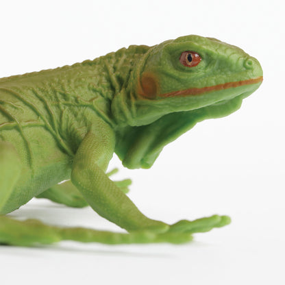 Safari Ltd Iguana Baby XL