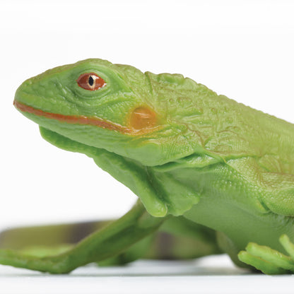 Safari Ltd Iguana Baby XL