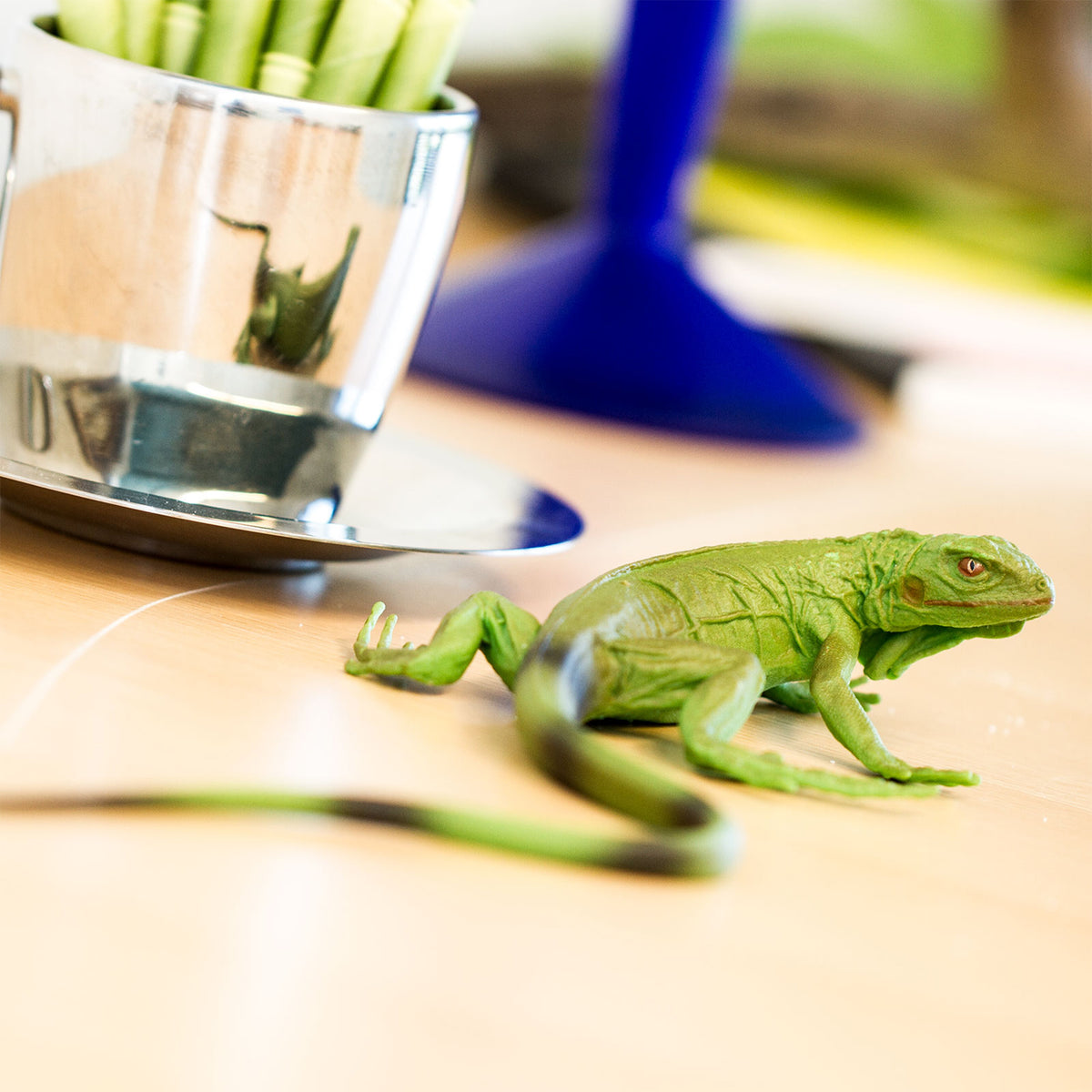 Safari Ltd Iguana Baby XL