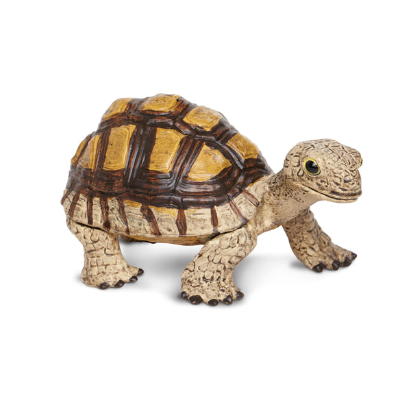 Safari Ltd Tortoise XL
