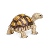 Safari Ltd Tortoise XL