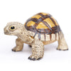 Safari Ltd Tortoise XL