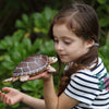 Safari Ltd Sea Turtle XL