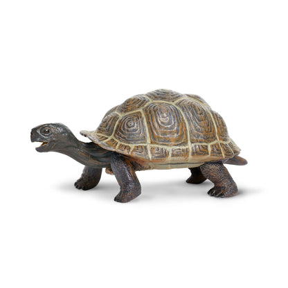 Safari Ltd Tortoise Baby XL