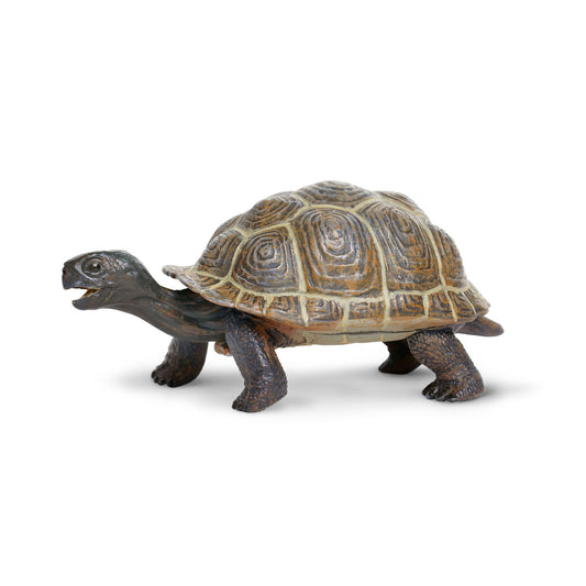 Safari Ltd Tortoise Baby XL