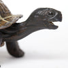 Safari Ltd Tortoise Baby XL
