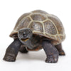 Safari Ltd Tortoise Baby XL