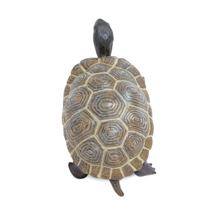 Safari Ltd Tortoise Baby XL