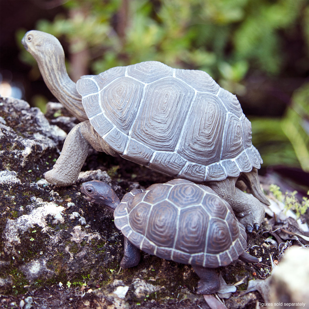 Safari Ltd Tortoise Baby XL