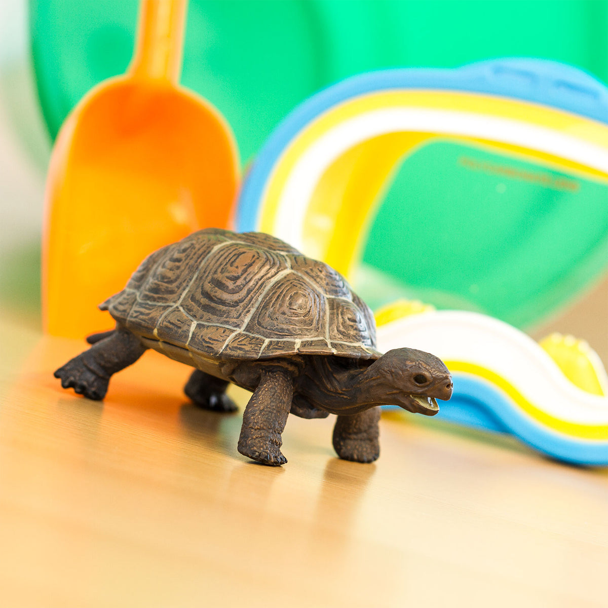 Safari Ltd Tortoise Baby XL