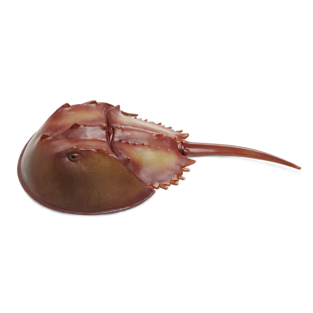Safari Ltd Horseshoe Crab XL