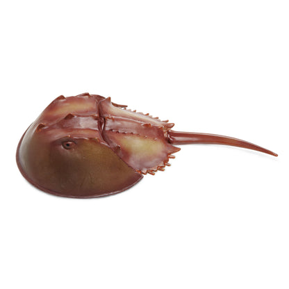 Safari Ltd Horseshoe Crab XL