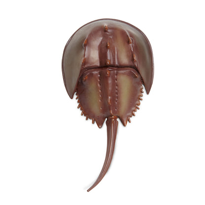Safari Ltd Horseshoe Crab XL
