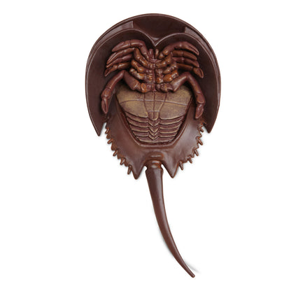 Safari Ltd Horseshoe Crab XL