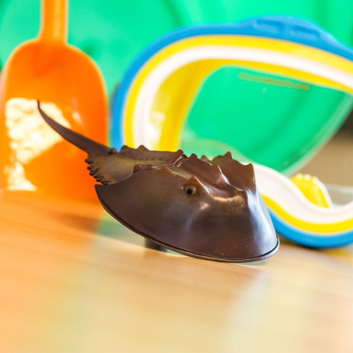 Safari Ltd Horseshoe Crab XL