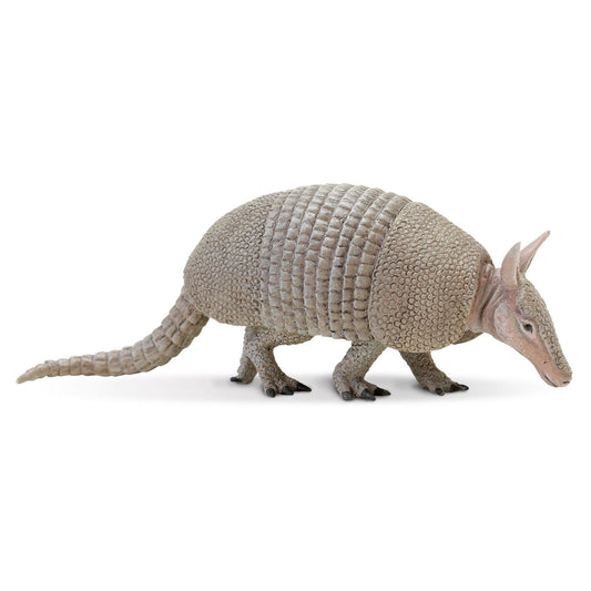Safari Ltd Armadillo XL