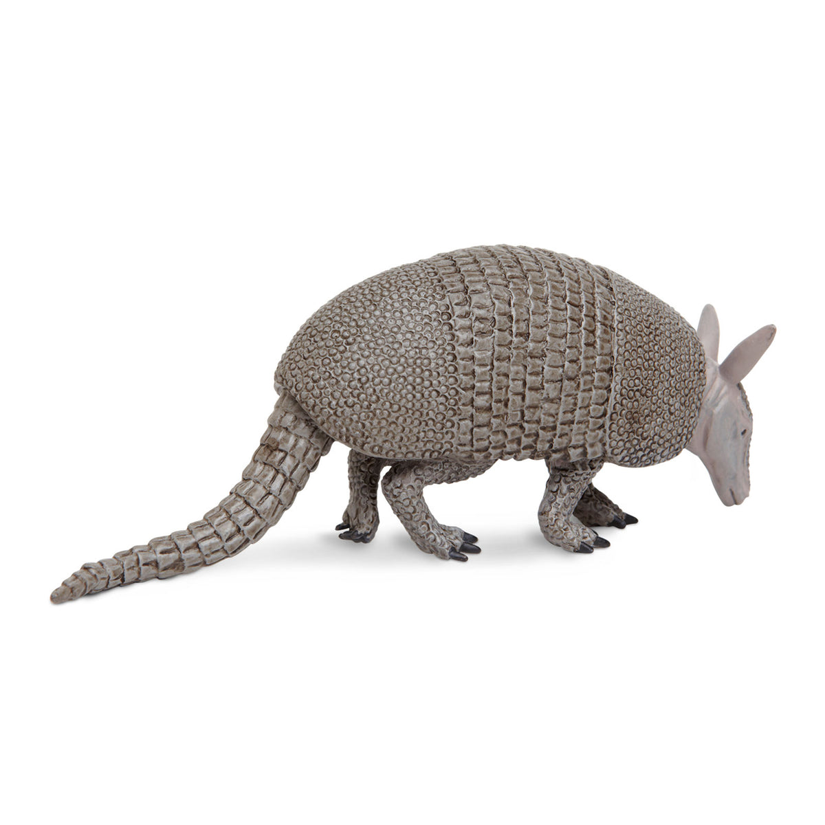 Safari Ltd Armadillo XL