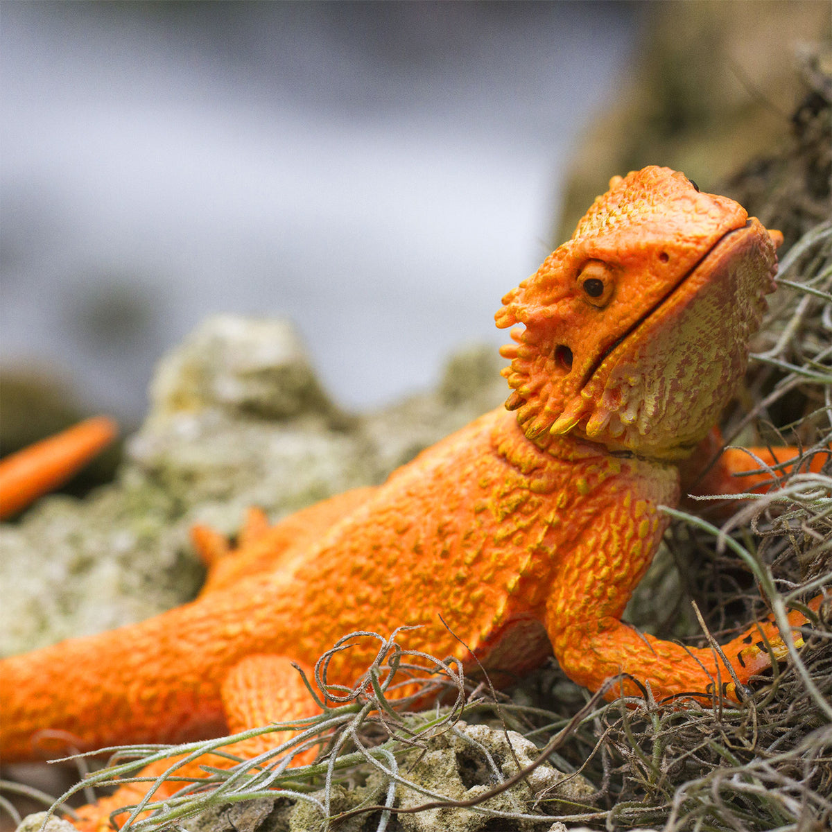 Safari Ltd Bearded Dragon XL