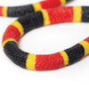 Safari Ltd Coral Snake Baby XL