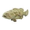 Safari Ltd Goliath Grouper XL
