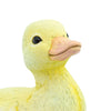 Safari Ltd Duckling XL