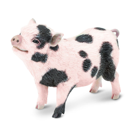 Safari Ltd Pot-Bellied Pig XL
