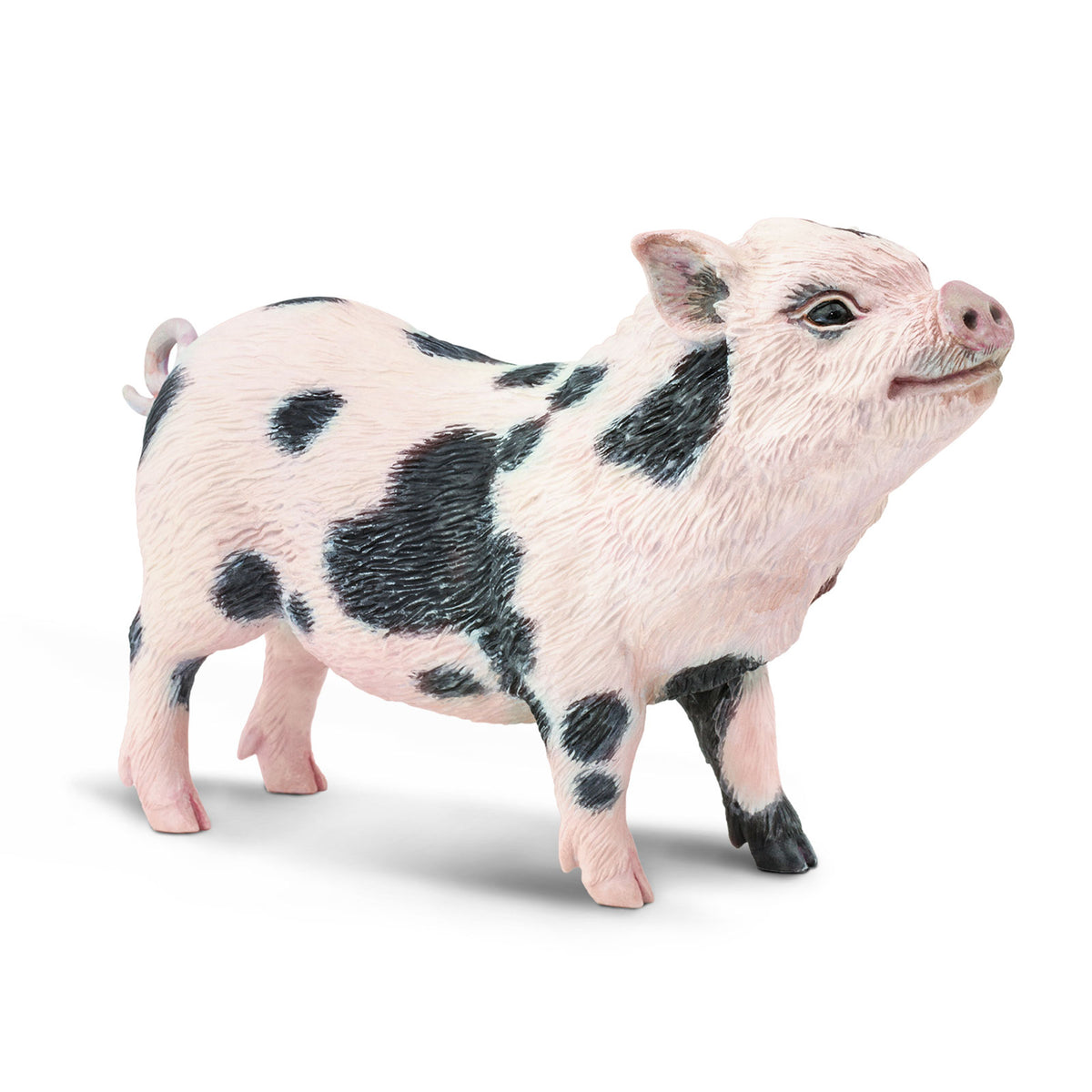 Safari Ltd Pot-Bellied Pig XL