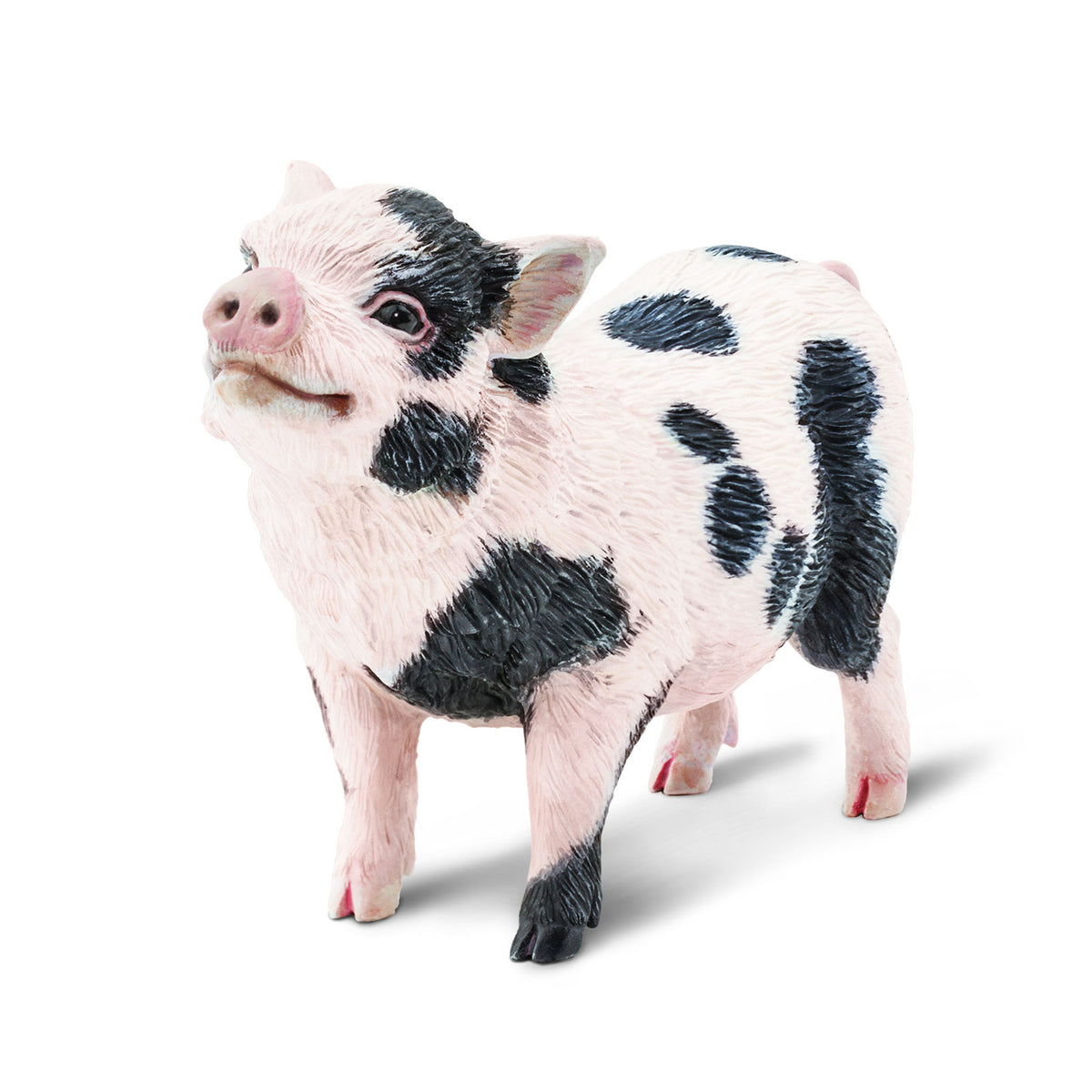 Safari Ltd Pot-Bellied Pig XL