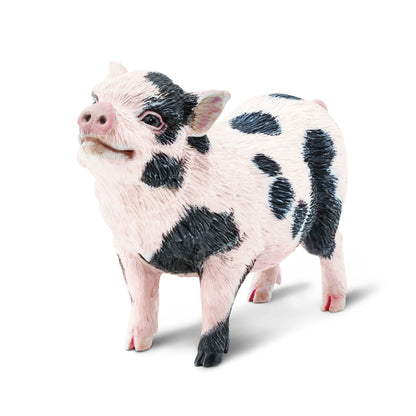 Safari Ltd Pot-Bellied Pig XL