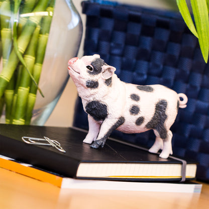 Safari Ltd Pot-Bellied Pig XL
