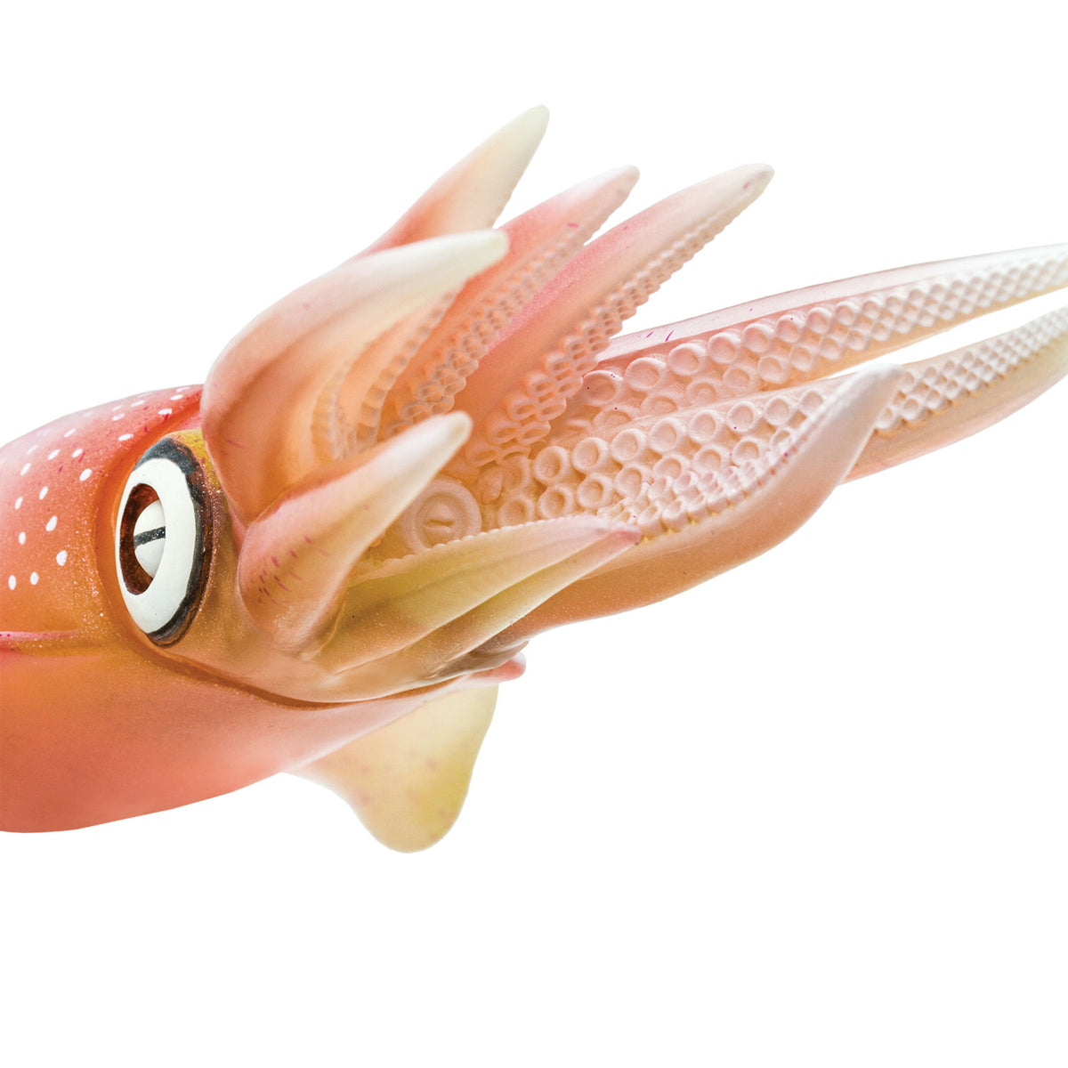 Safari Ltd Reef Squid XL