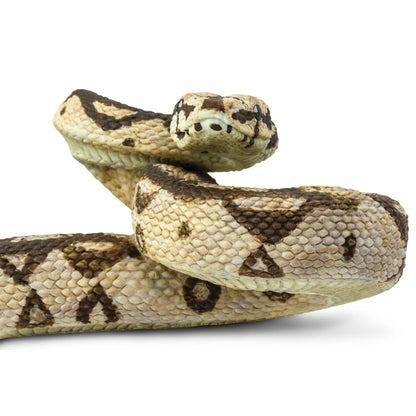 Safari Ltd Boa Constrictor XL