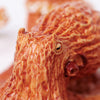 Safari Ltd Giant Pacific Octopus XL