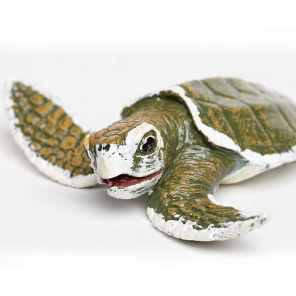 Safari Ltd Kemps Ridley Sea Turtle Baby XL